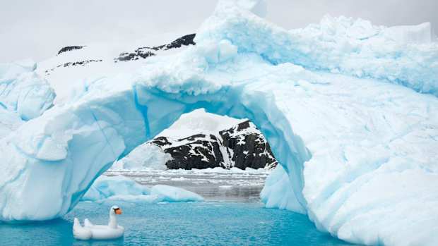 antarctica-photos-8.jpg